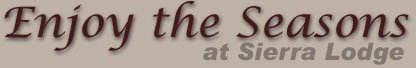 Enjoy the Seasons at Sierra Lodge